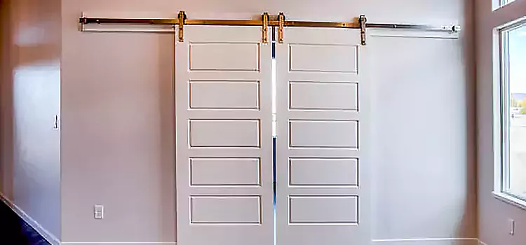 Glass Barn Door with Installation Hardware Kit Lennox