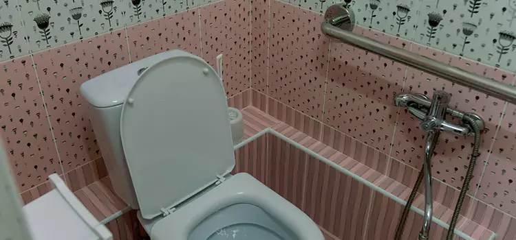 Meeting Diverse Needs With Accessible Restroom Solutions in Lennox, CA